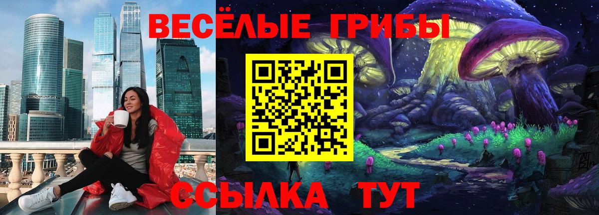 Ессентуки  Галлюциногенные грибы прущие грибы  где купить наркоту  Псилоцибиновые грибы Magic Shrooms  Вход с VPN 